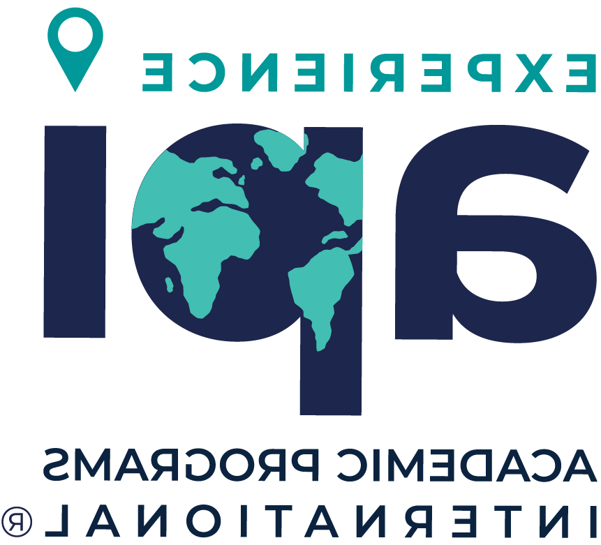 API Academic Programs International logo 